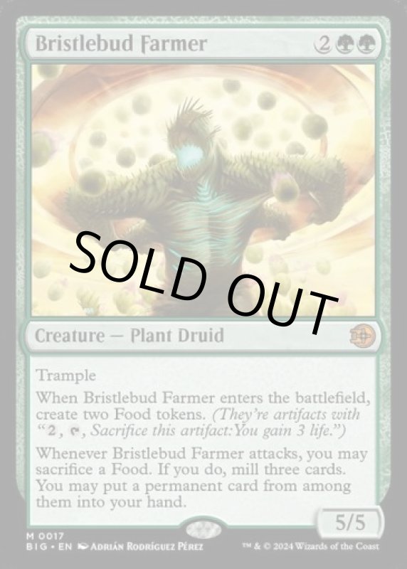 画像2: 逆棘芽の農家/Bristlebud Farmer (2)