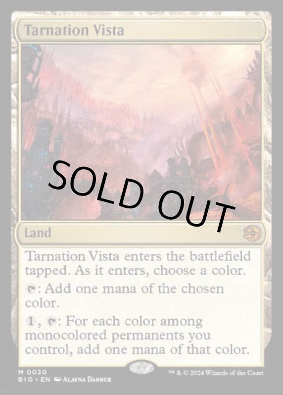 画像2: 破滅の眺望/Tarnation Vista (2)