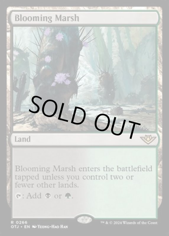 画像2: 花盛りの湿地/Blooming Marsh (2)