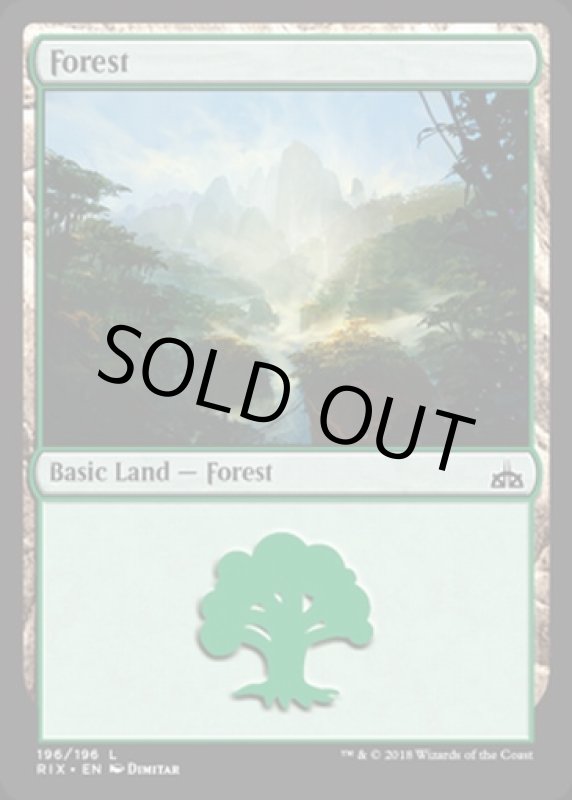 画像2: 森/Forest  (2)