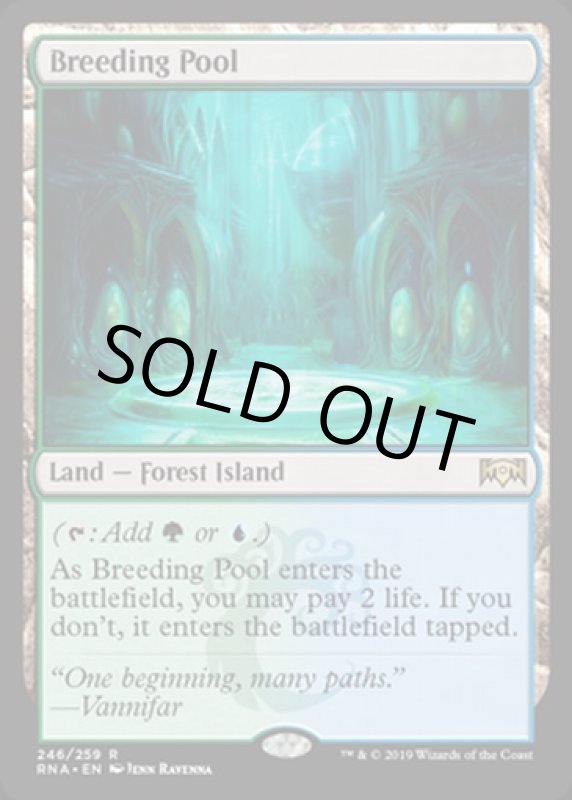 画像2: 繁殖池/Breeding Pool　 (2)