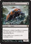画像2: 葬儀甲虫/Mortician Beetle　 (2)