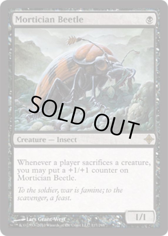 画像2: 葬儀甲虫/Mortician Beetle  (2)