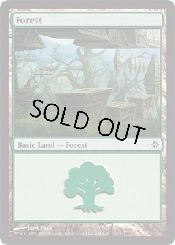 画像2: 森/Forest  (2)