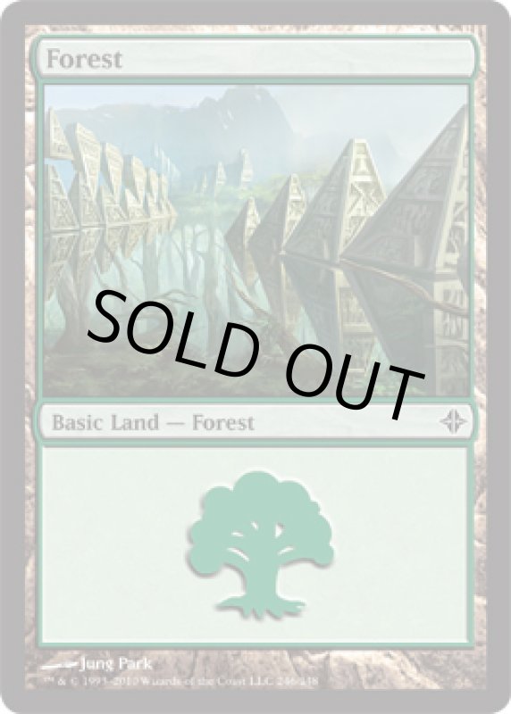 画像2: 森/Forest  (2)