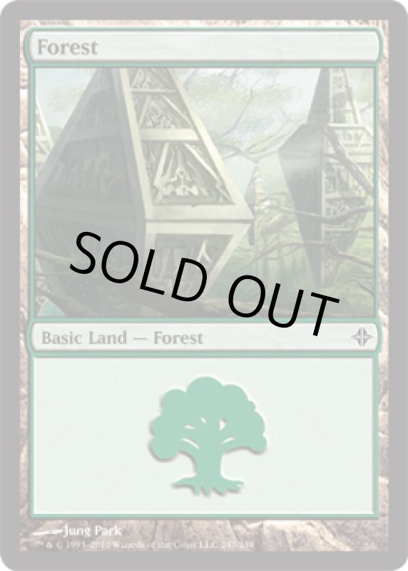 画像2: 森/Forest  (2)