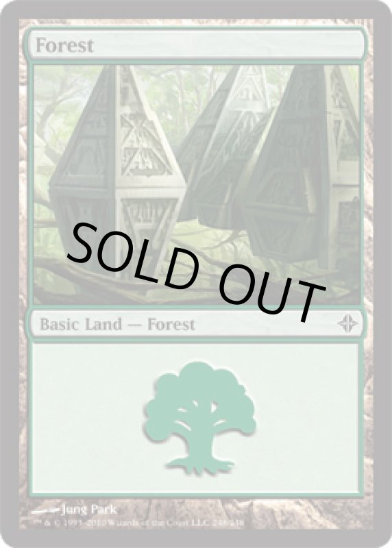 画像2: 森/Forest  (2)