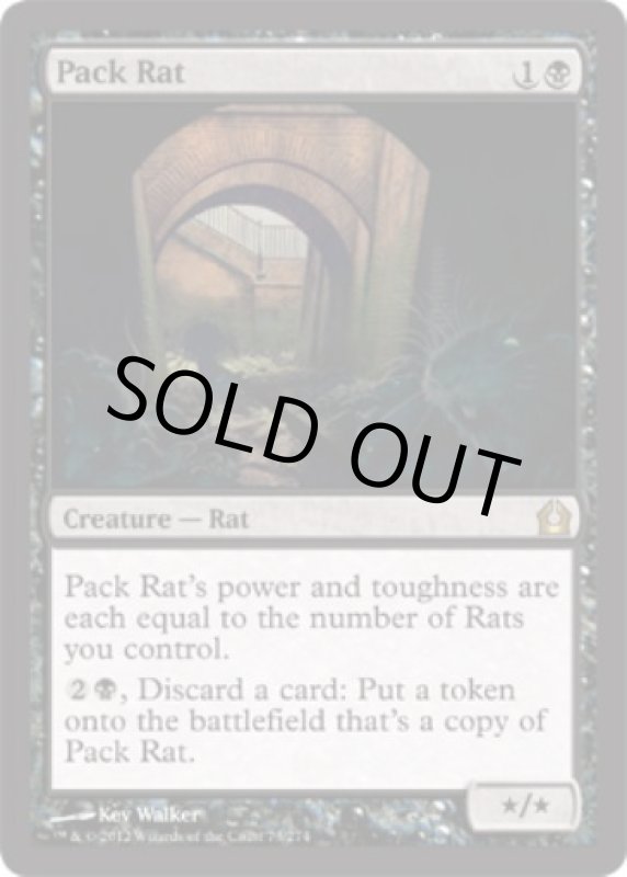 画像2: 群れネズミ/Pack Rat  (2)