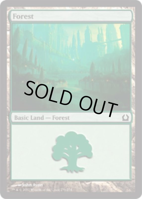 画像2: 森/Forest  (2)