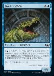 画像1: 下水クロコダイル/Sewer Crocodile (1)