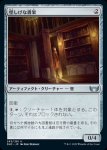 画像1: 怪しげな書架/Suspicious Bookcase (1)