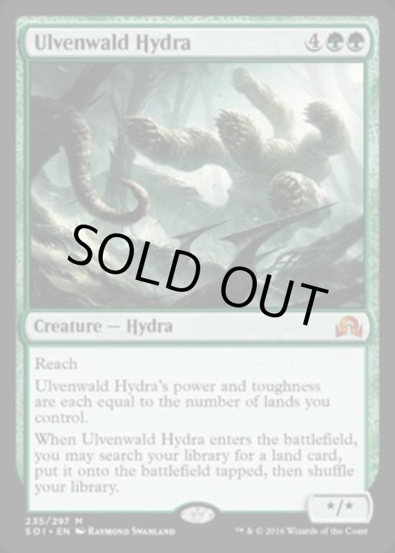 画像2: ウルヴェンワルドのハイドラ/Ulvenwald Hydra　 (2)