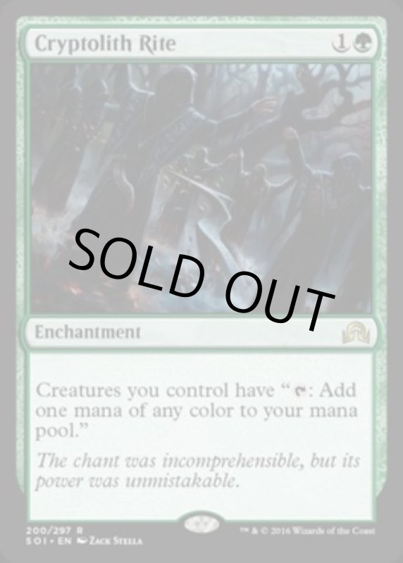 画像2: 謎の石の儀式/Cryptolith Rite  (2)