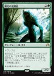 画像1: 銀毛の援護者/Silverfur Partisan　 (1)