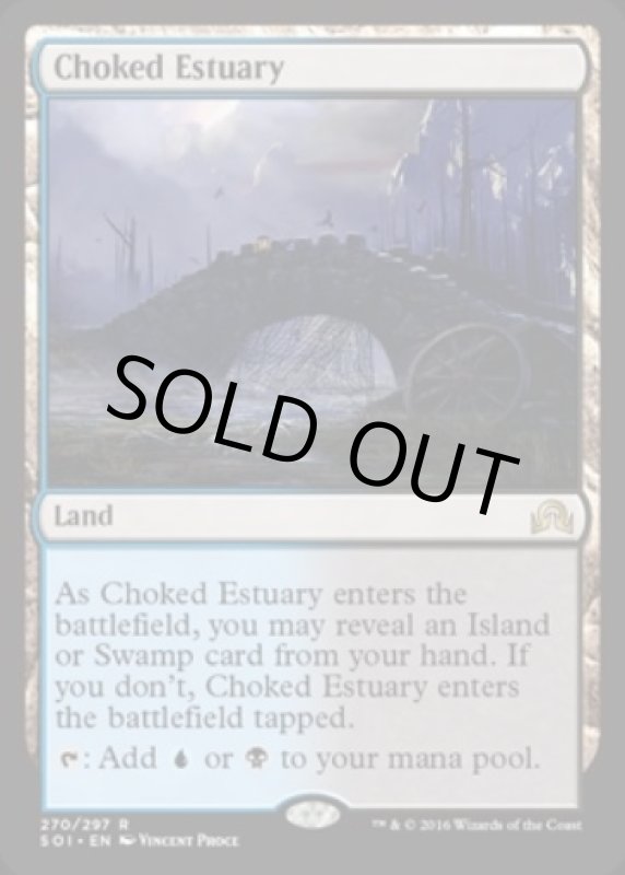 画像2: 詰まった河口/Choked Estuary  (2)