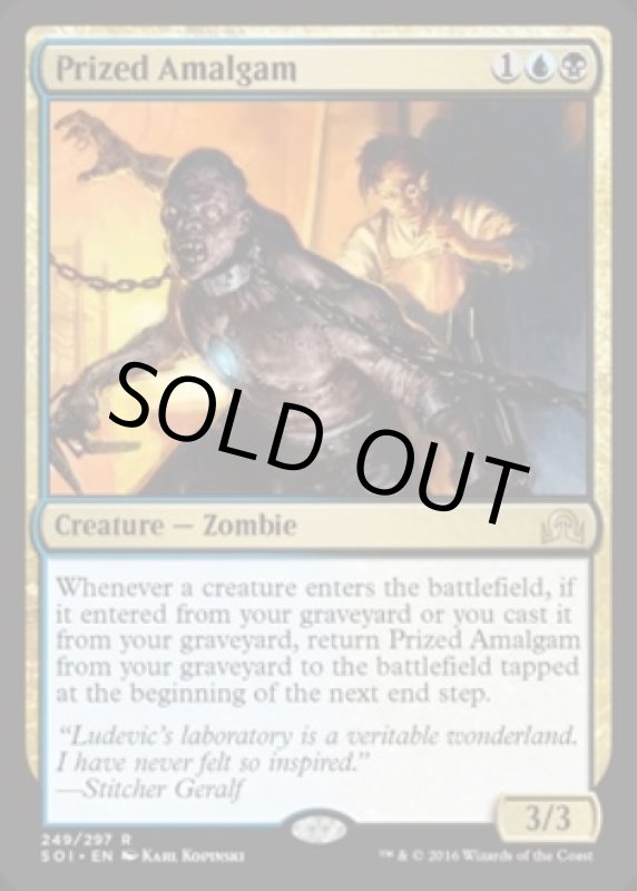 画像2: 秘蔵の縫合体/Prized Amalgam  (2)