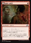 画像1: 皮膚への侵入/Skin Invasion & 皮膚から抜け出たもの/Skin Shedder　 (1)