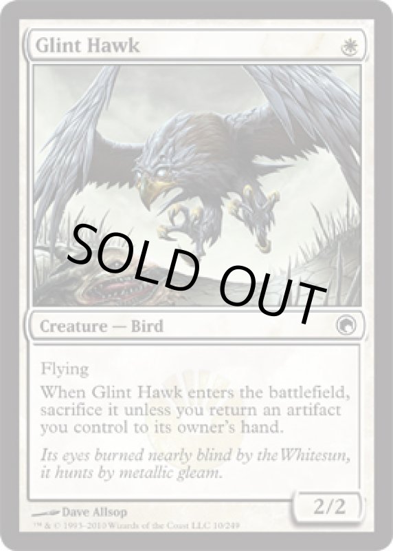 画像2: きらめく鷹/Glint Hawk  (2)