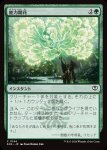 画像1: 能力開花/Efflorescence (1)