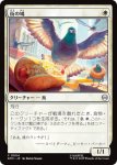 画像1: 街の鳩/City Pigeon (1)