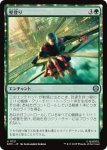 画像1: 壁登り/Wall Crawl (1)