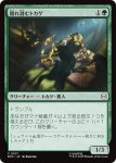画像1: 隠れ潜むトカゲ/Lurking Lizards (1)