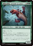 画像1: 果敢な恐竜、スパイダーレックス/Spider-Rex, Daring Dino (1)