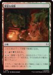 画像1: 野蛮な屋敷/Savage Mansion (1)