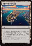 画像1: にぎやかな都市の光景/Vibrant Cityscape (1)
