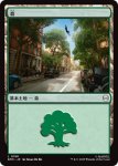 画像1: 森/Forest (1)
