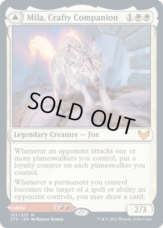 画像3: 狡猾な相棒、ミラ/Mila, Crafty Companion (3)