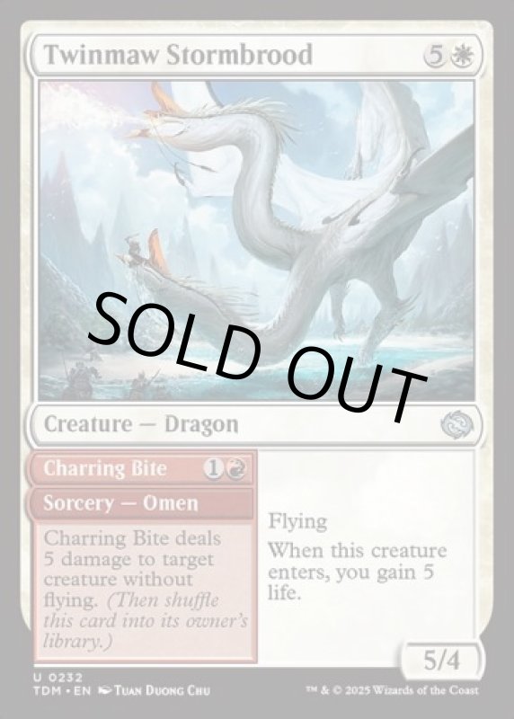 画像2: 双つ口の嵐孵り/Twinmaw Stormbrood (2)