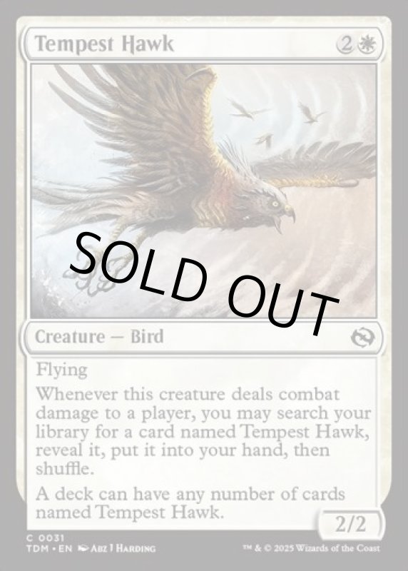 画像2: 大嵐の鷹/Tempest Hawk (2)
