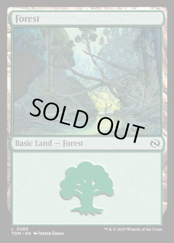 画像2: 森/Forest (2)