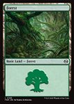 画像2: 森/Forest (2)