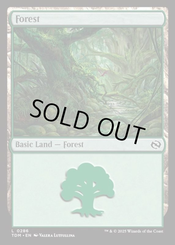 画像2: 森/Forest (2)