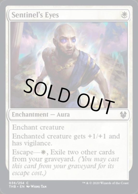 画像2: 歩哨の目/Sentinel's Eyes　 (2)