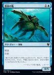 画像1: 激浪の亀/Riptide Turtle　 (1)