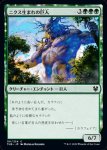 画像1: ニクス生まれの巨人/Nyxborn Colossus　 (1)