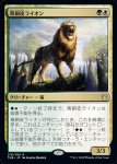 画像1: 青銅皮ライオン/Bronzehide Lion　 (1)
