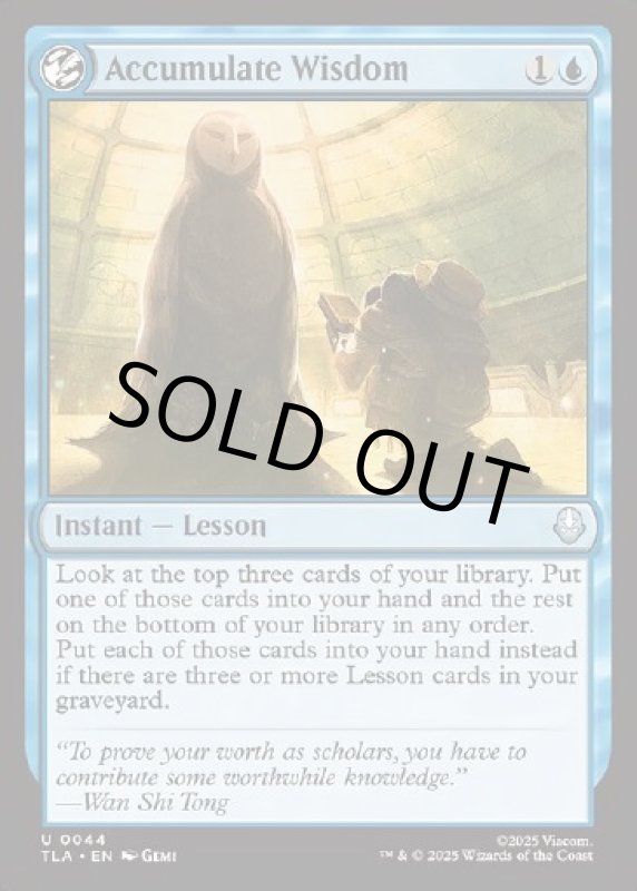 画像2: 積み重ねられた叡智/Accumulate Wisdom (2)