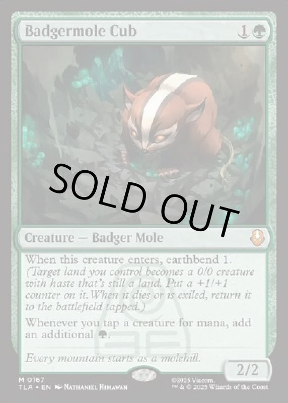 画像2: アナグマモグラの仔/Badgermole Cub (2)