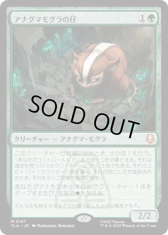 画像1: アナグマモグラの仔/Badgermole Cub (1)