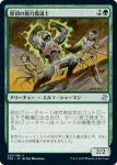 画像1: 原初の腕力魔道士/Primal Forcemage (1)