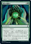 画像1: 進化の魔除け/Evolution Charm (1)