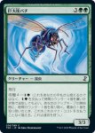 画像1: 巨大埃バチ/Giant Dustwasp (1)