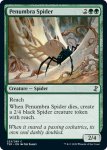 画像2: 暗影の蜘蛛/Penumbra Spider (2)