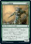 画像1: サリッドの発芽者/Thallid Germinator (1)