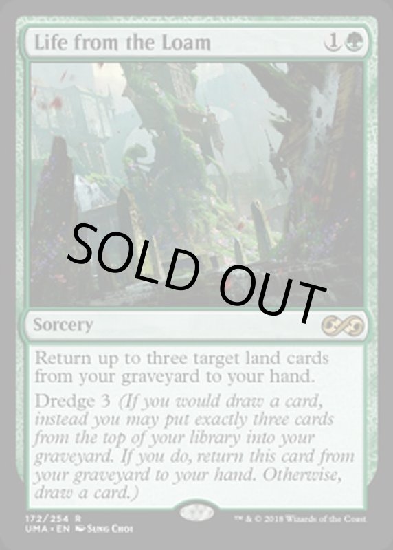 画像2: 壌土からの生命/Life from the Loam  (2)