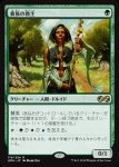 画像1: 貴族の教主/Noble Hierarch　 (1)